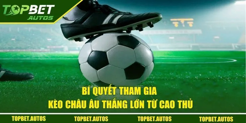 Kèo Châu Âu TOPBET - Trải Nghiệm Cá Cược Với Tỷ Lệ Thắng Cao 3 Bật mí những bí quyết cực hay giúp hội viên thắng lớn